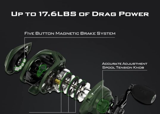 Best Fishing Reel